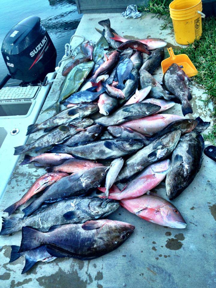 Big fishing catch