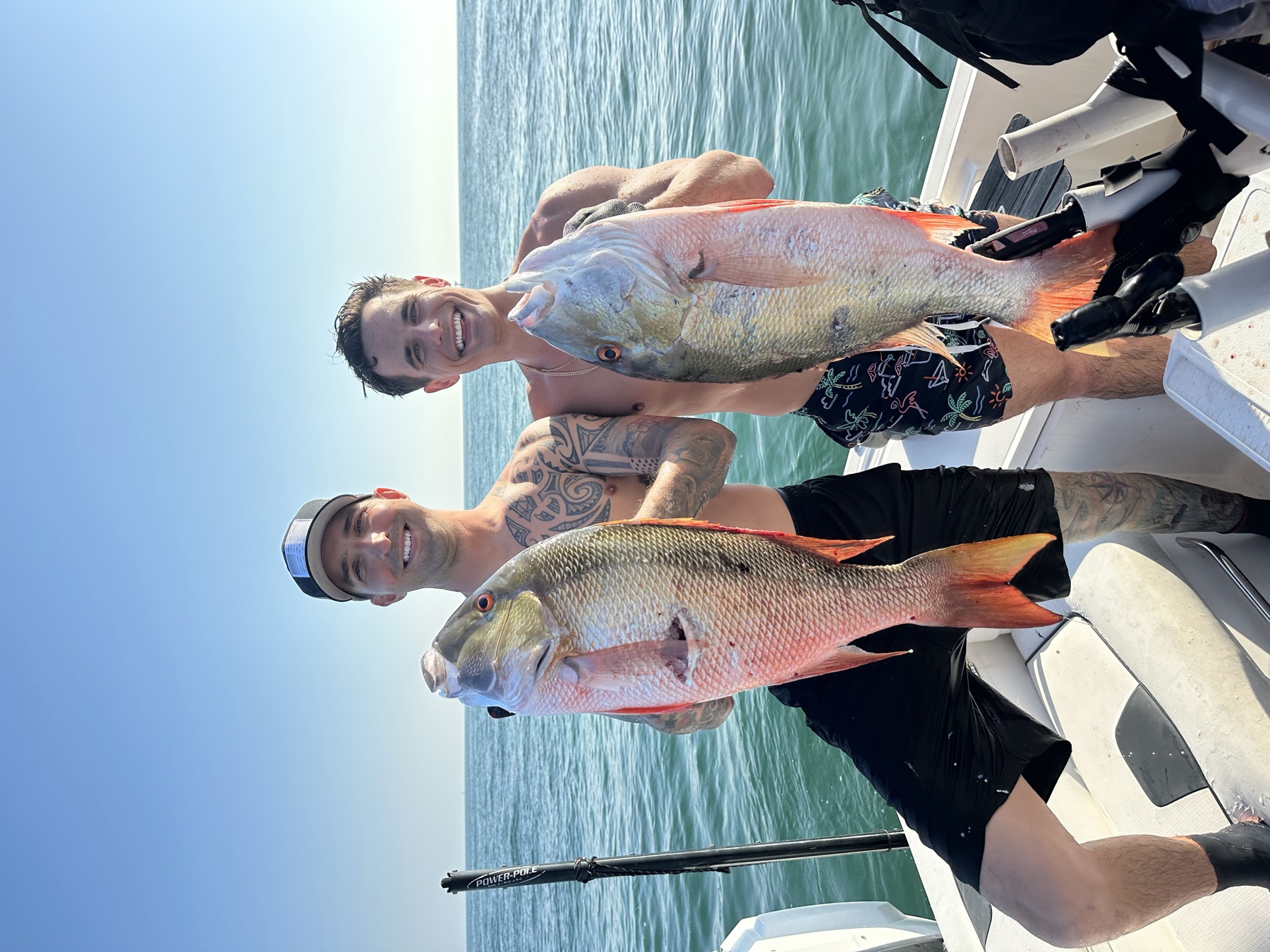 Hogfish