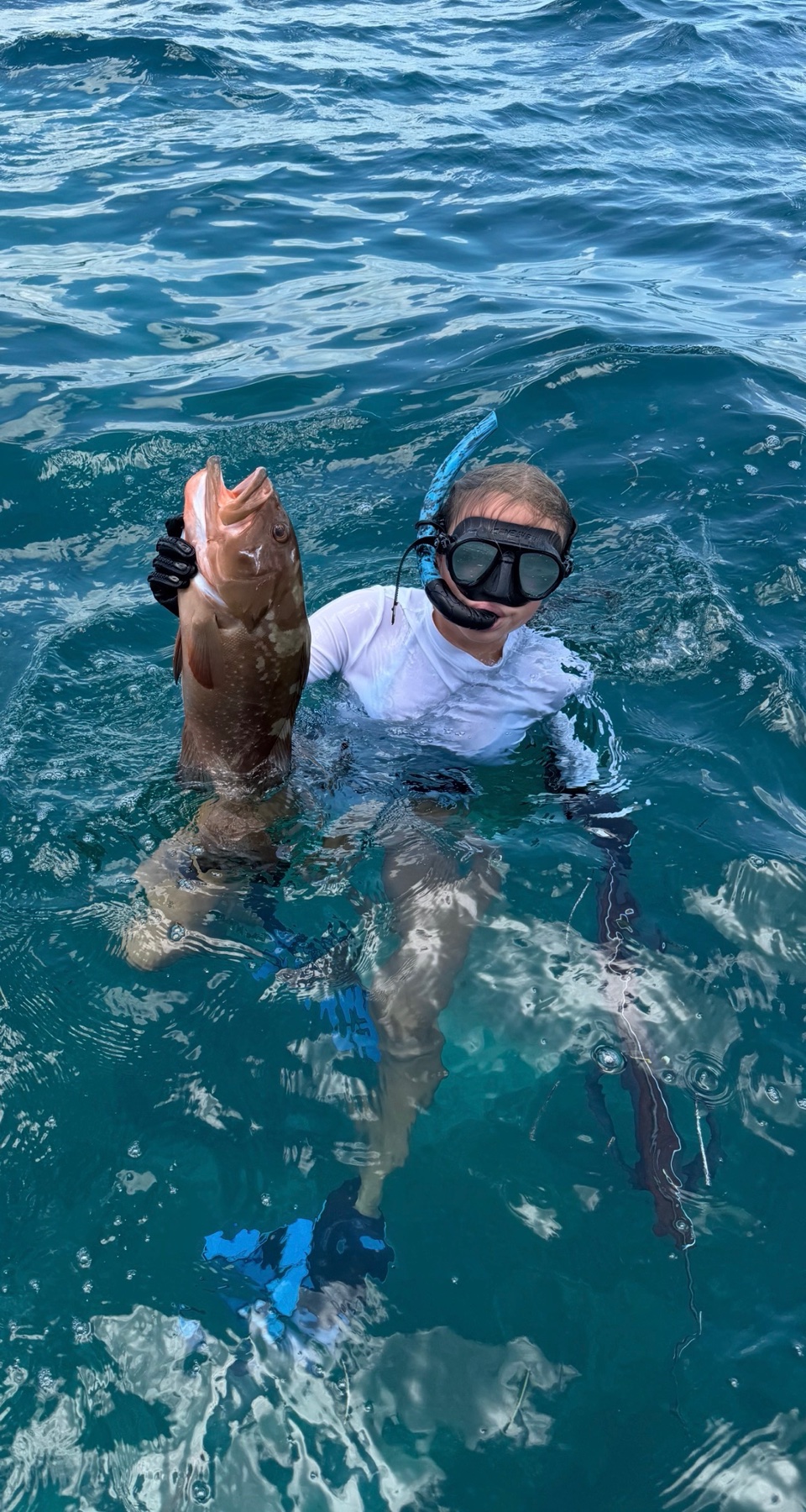 Lobstering Charters