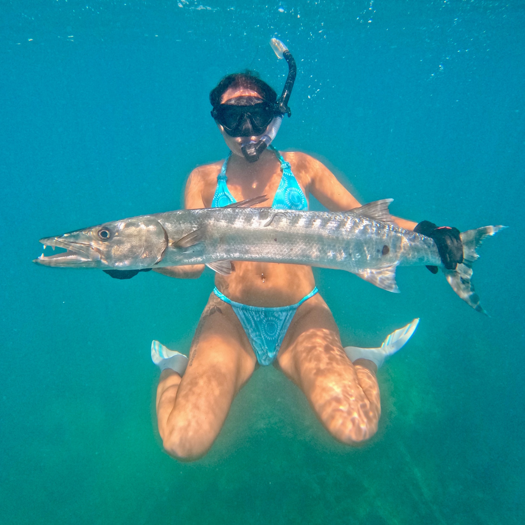 Spearfishing Charters