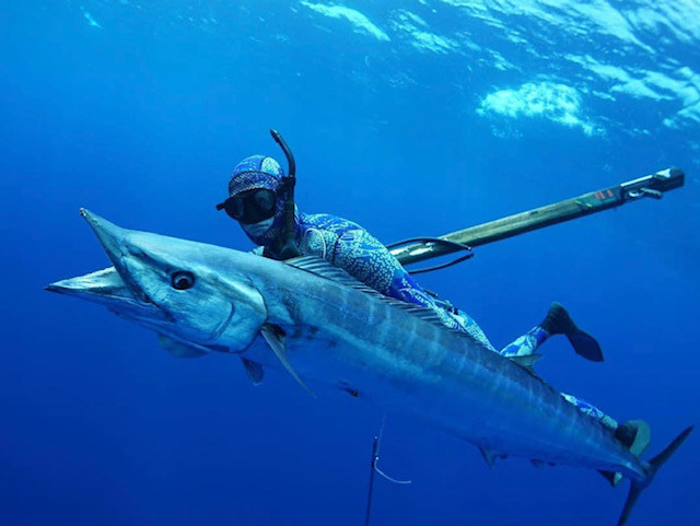 Spearfishing / Sandbar Combo